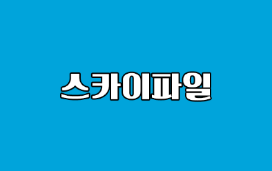 스카이파일 신규 사이트